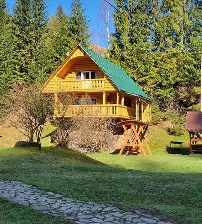 У Віти Котедж 1 Synevyrsʼka Polyana Exterior foto